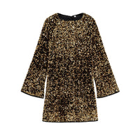 Aeryn Relaxed Sequin Dress