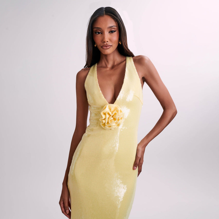 Maelise Sequin Dress