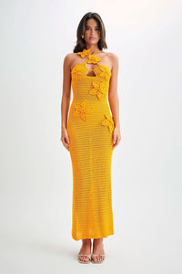 Eleanor Maxi Dress