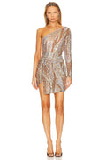 Lovers And Friends Amaryllis Mini Dress In Stardust Multi From .com