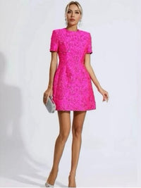 Embroidered Beaded Fuchsia Dress