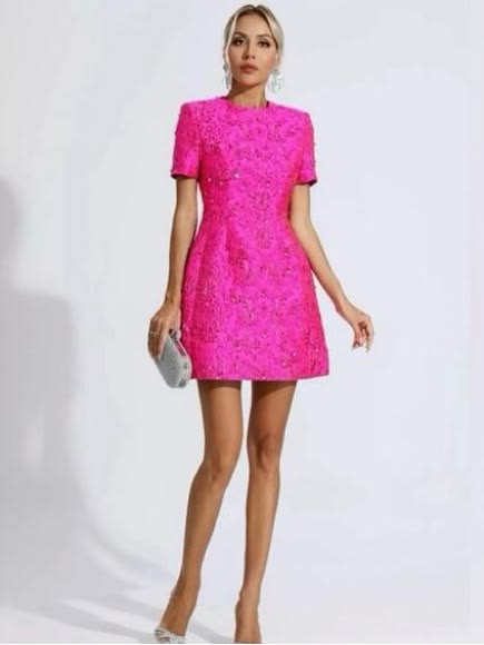 Embroidered Beaded Fuchsia Dress Color: Pink Size: Xl