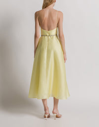 Silk organza dress