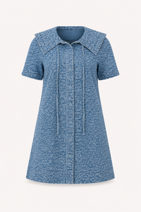 Paula Denim Sailor Collar Mini Dress