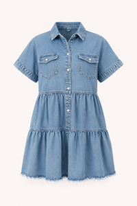 Heike Denim Mini Dress
