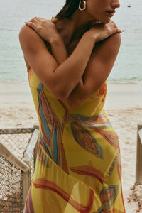Alora Sheer Maxi Dress Anais