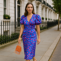 Daisy - Pleated Sleeve Colourful Dress
