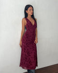 Maroon