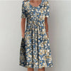 Blue / Brown