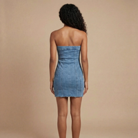 Rayna Denim Mini Dress