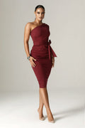 Dolly Elegant Bodycon Dress (Maroon)