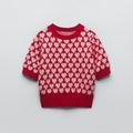 Yrsa Short Sleeve Print Knit Sweater