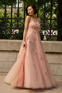 Embroidered Scarlett Gown Blush