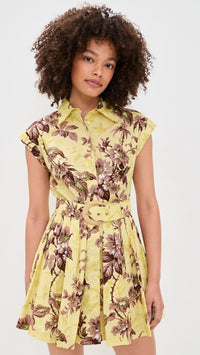 Cara Octavia Mini Dress Shopbop