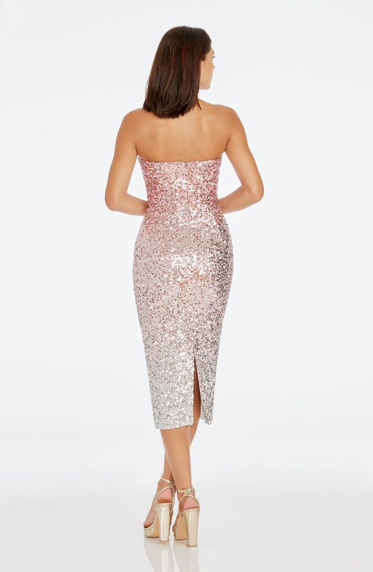 Blush Viviana Dress