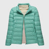 Turquoise Stand-up collar