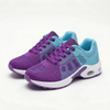 Violet / Light Blue