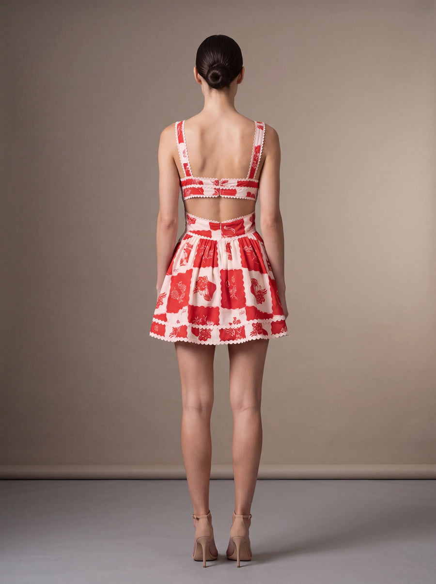 NASHI MINI DRESS Red studio back