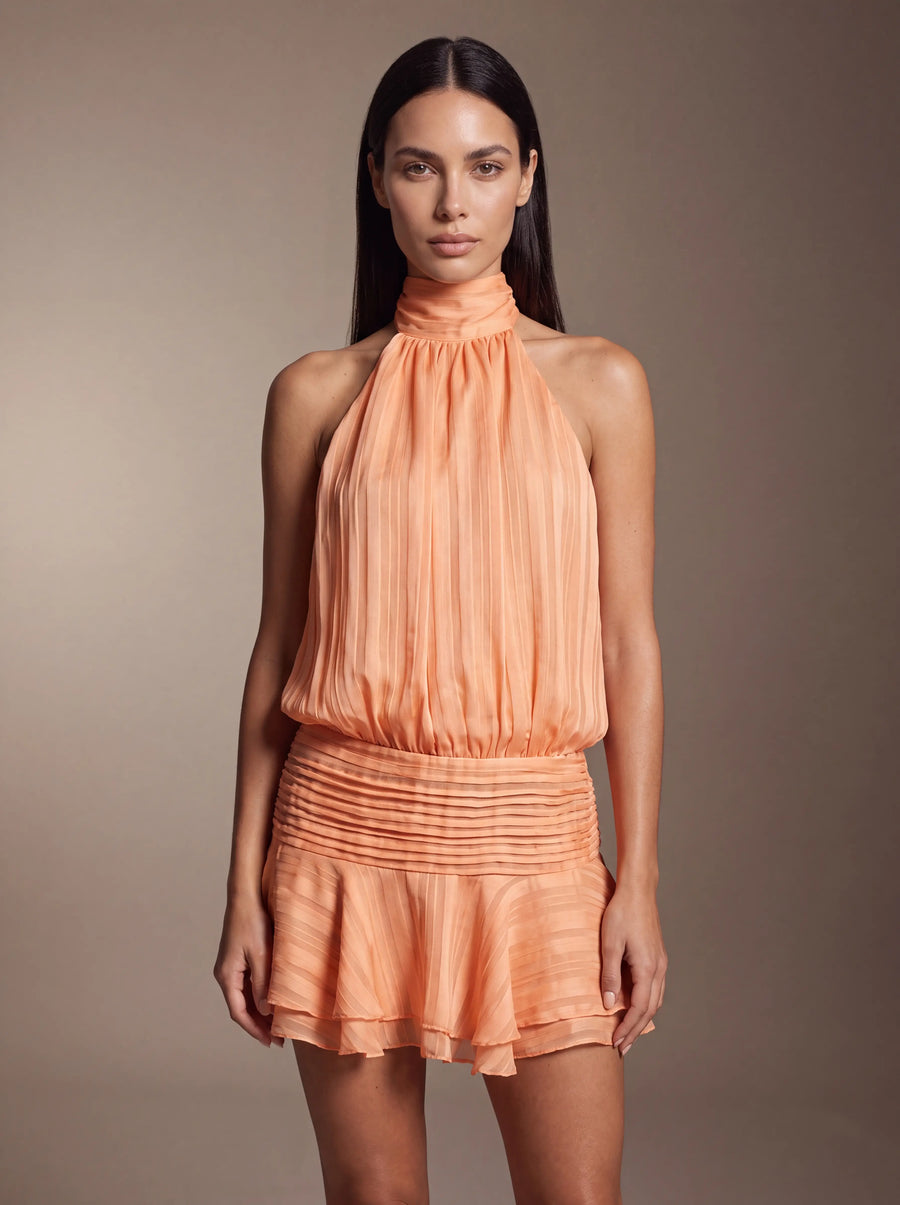 Beatrice Orange Studio Zoom