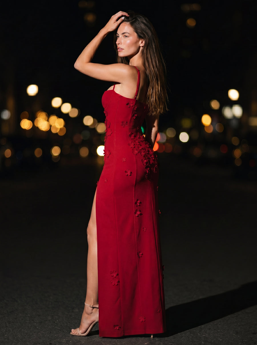 ZENDAYA MAXI DRESS Red back